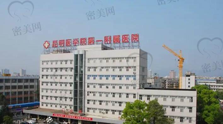 昆明医科大学<span style=