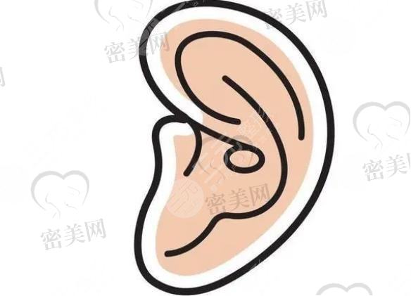 耳朵整形