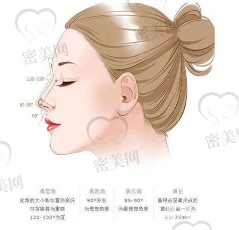 上海耳软骨垫鼻尖多少钱 垫鼻尖的方法