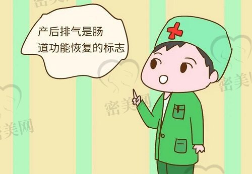 剖腹产术后排气是肠道功能恢复的标志