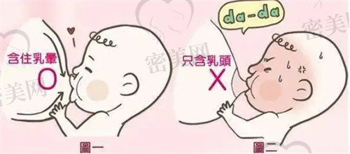 哺乳姿势要正确