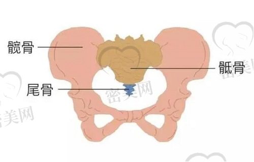 产后骨盆形态