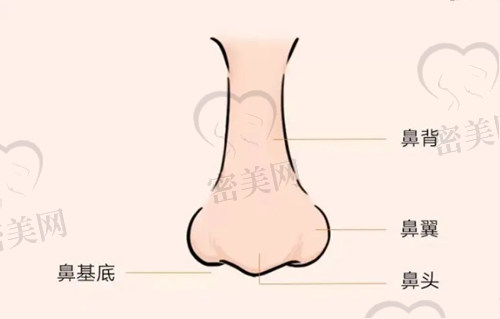深圳隆鼻修复的实力整形医院前十名单