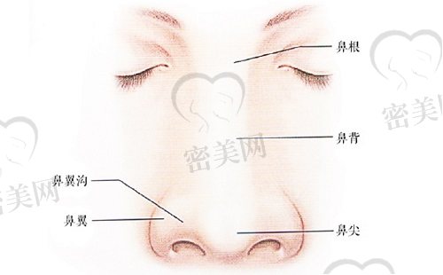 李信锋做鼻子怎么样？