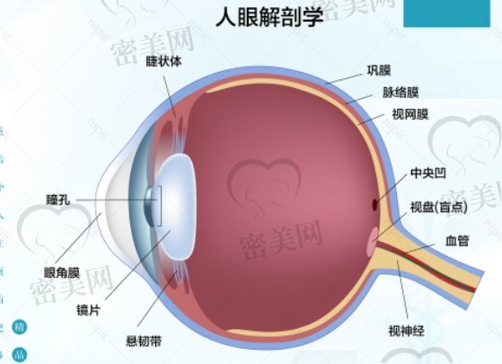 深圳有名的眼科医生有哪些