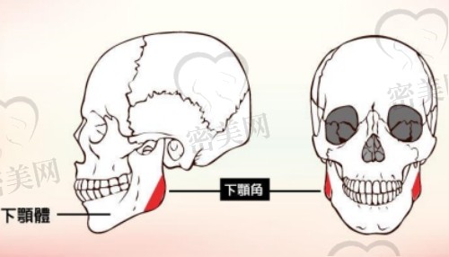 磨骨和截骨区别