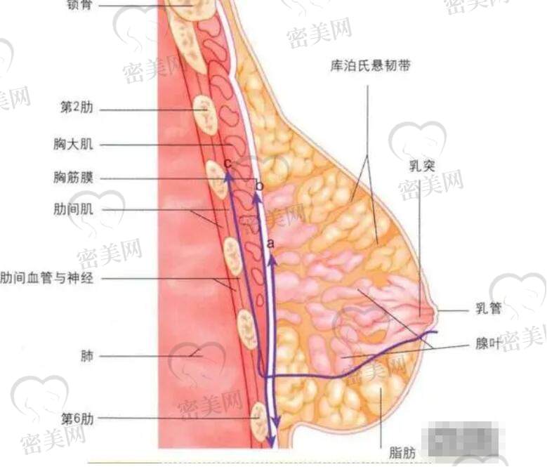 邓正军资料简介