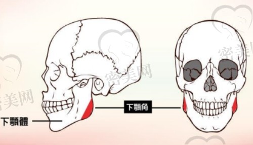 广州哪个医生做下颌角削骨好？
