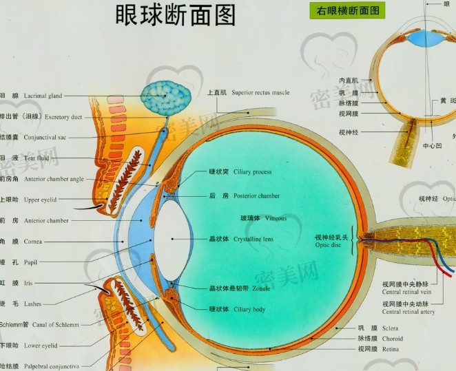 广州治疗近视眼推荐医院<span style=