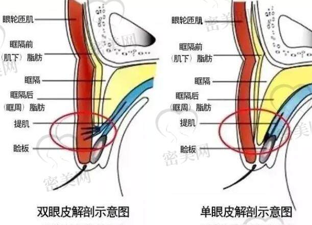 泰国整容好还是韩国好