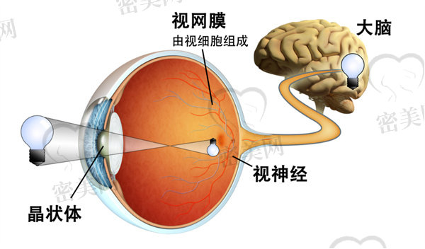 人工视网膜植入可以治疗失明吗