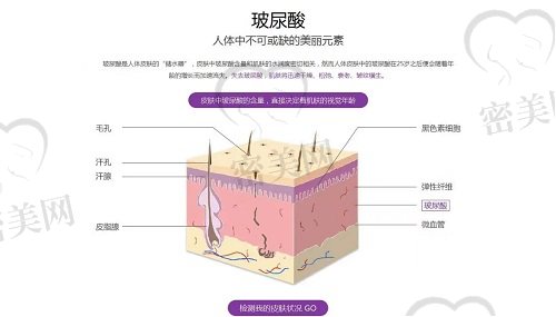 广州曙光张小芸怎么样