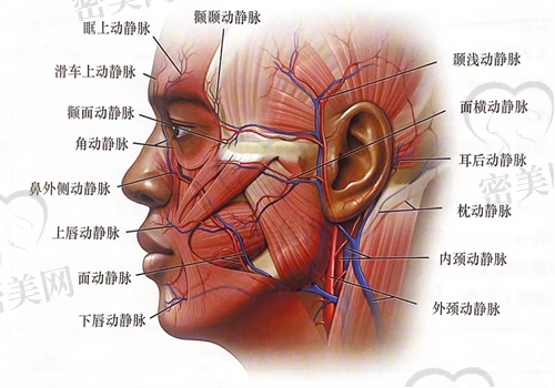 V美减龄是什么手术