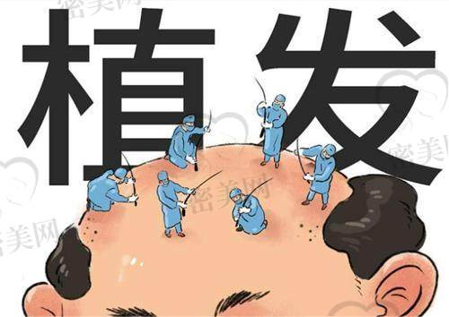 北京眉毛种植哪家医院好