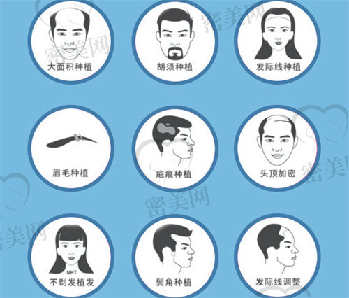 北京眉毛种植哪家医院好