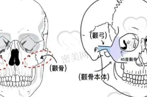 医院官网信息:北京晶美医疗美容的“线上名片”