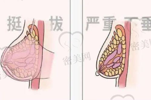 太原丽都整形美容医院——刘晋元医生操刀
