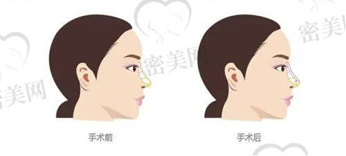 王丹丹医生荣誉资质