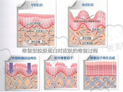 唐龙医生口碑怎么样？