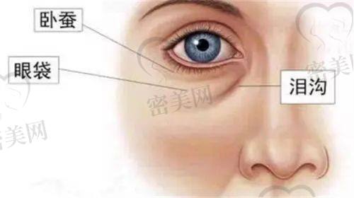 盛淼医生怎么预约挂号？
