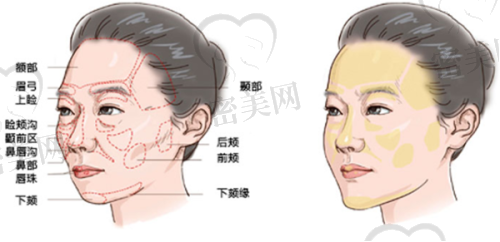 夏百新医生荣誉资质：