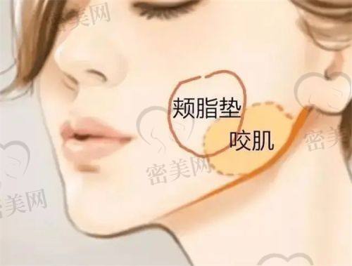 大连艾加艾医疗美容门诊部怎么样？