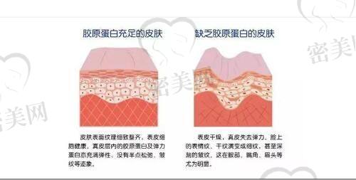 朱柏年医生荣誉资质：
