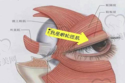 苏州紫馨美容医院