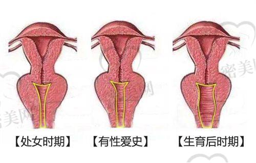 武杰医生荣誉资质：
