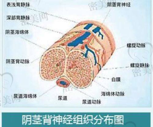 王中秒医生口碑怎么样？