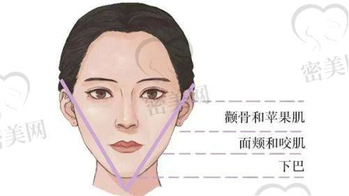 朱柏年医生技术特点：