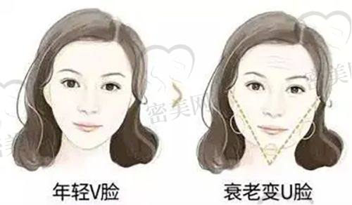 刘至昱医生荣誉资质：