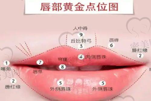秦琴医生执业信息：