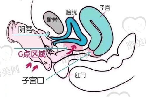 张越越医生擅长项目：