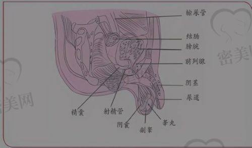 郭文煜医生荣誉资质：