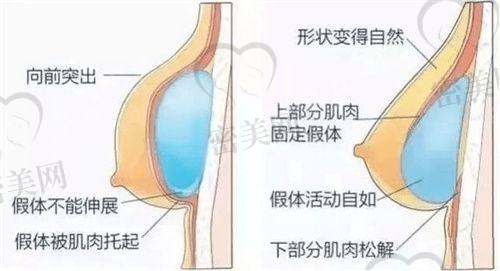 辛海龙医生执业信息：