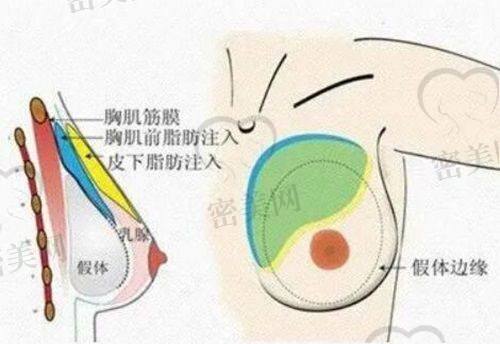 韦婷医生执业信息：