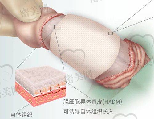 张恩军 医生执业信息：