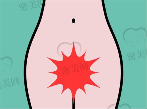 赵利平医生荣誉资质：
