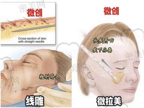许红丽医生执业信息
