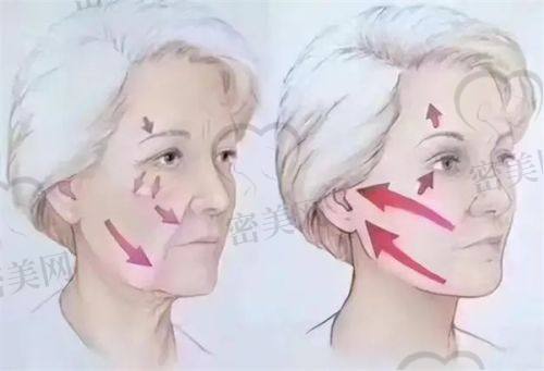 王树医生荣誉资质：