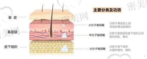 高侠医生怎么预约挂号？