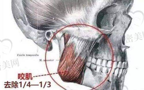 尹飞医生荣誉资质：
