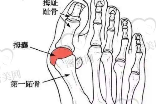 姜鑫利医生荣誉资质：
