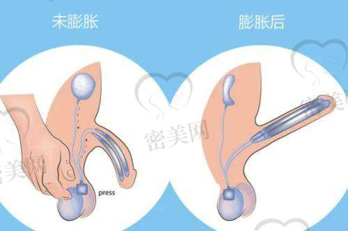 任晓丽医生荣誉资质：