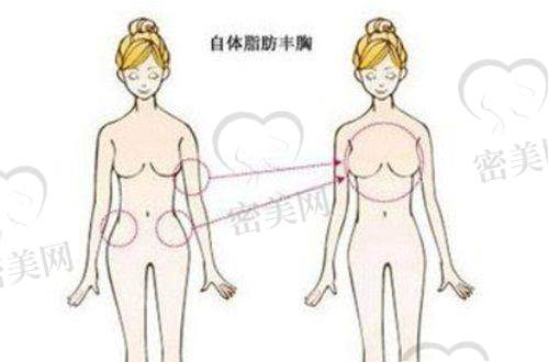 潘丽萍医生荣誉资质：