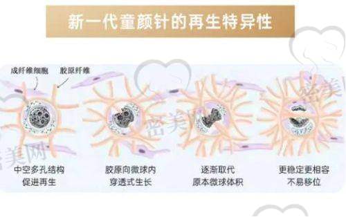 邵斌医生荣誉资质：