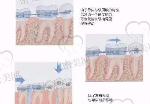 陈光医生擅长项目：