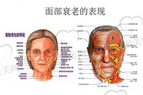 姜鑫利医生技术特点：