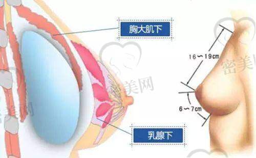 黄益凡医生荣誉资质：